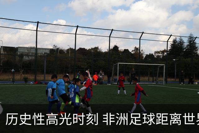 历史性高光时刻 非洲足球距离世界杯冠军还有多远？