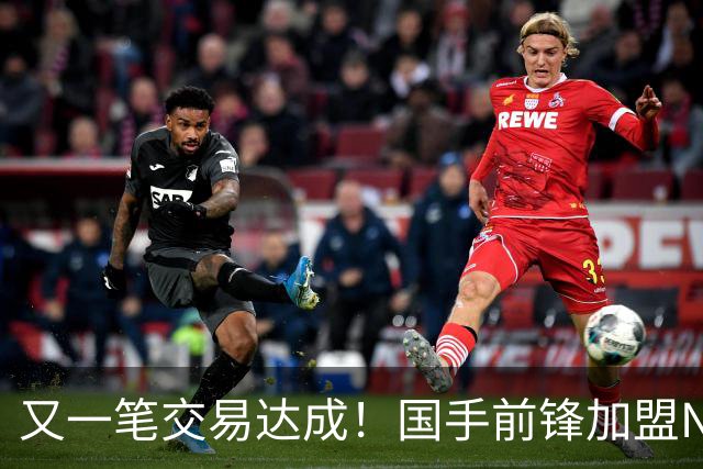 又一笔交易达成！国手前锋加盟NBL联赛，新赛季率队全力冲击CBA