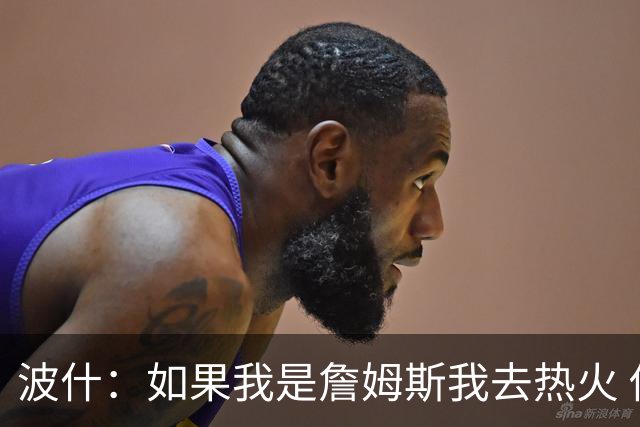波什：如果我是詹姆斯我去热火 他能和字母哥复刻当年的防守反击